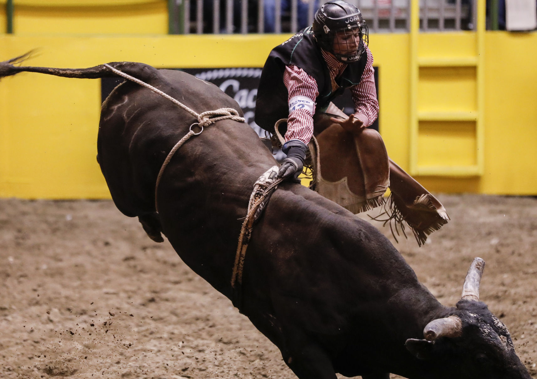 CNFR - Tuesday